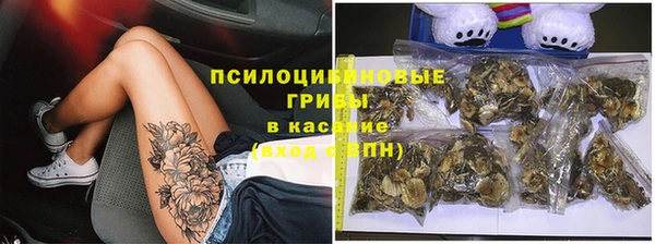 дмт Грязовец