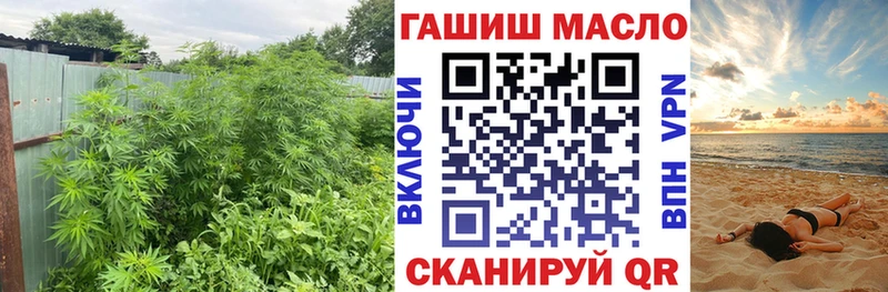 Дистиллят ТГК THC oil что такое наркотик Белоозёрский